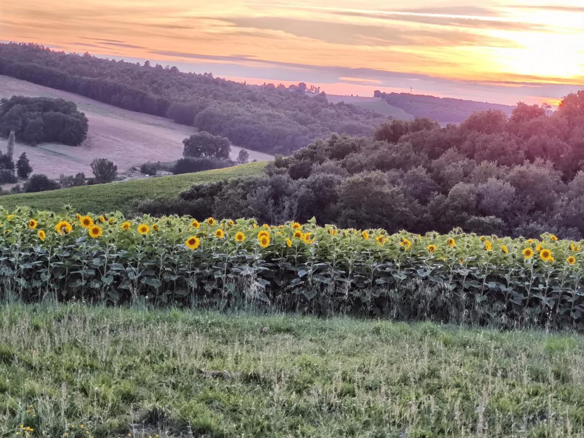 Les Hauts De Grazac, Chambres Et Tables D'Hotes Grazac  Luaran gambar