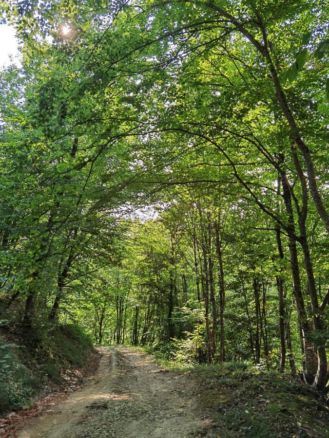 Les Hauts De Grazac, Chambres Et Tables D'Hotes Grazac  Luaran gambar